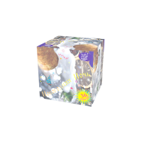 Новогодняя ночь Салют купить в Грозном | groznyj.salutsklad.ru