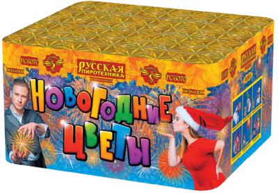 Новогодние цветы Фейерверк купить в Грозном | groznyj.salutsklad.ru