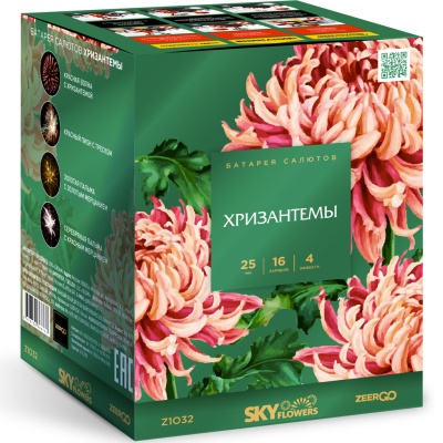 Хризантемы Фейерверк купить в Грозном | groznyj.salutsklad.ru