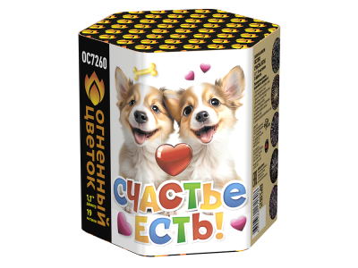 Счастье есть! Салют купить в Грозном | groznyj.salutsklad.ru